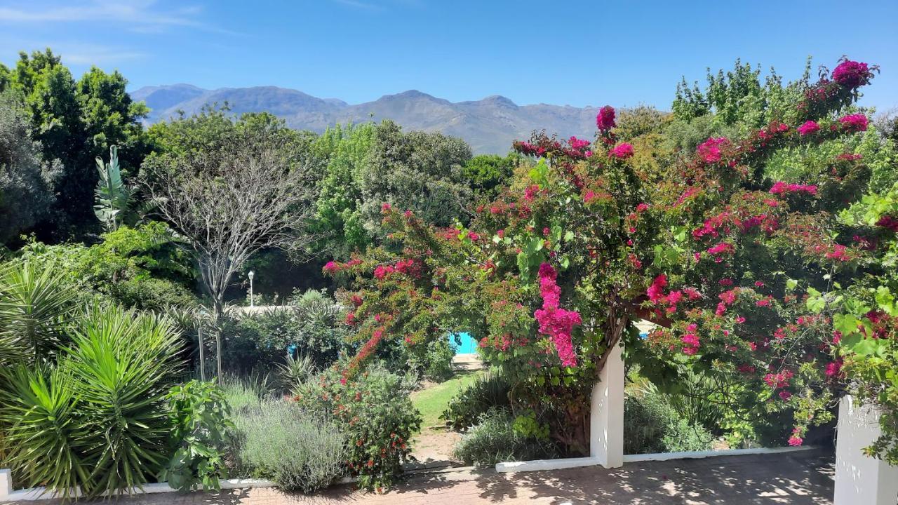 Alba House Guest House Paarl Extérieur photo